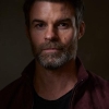 Daniel Gillies