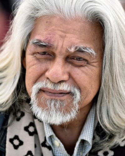 Wan Hanafi Su