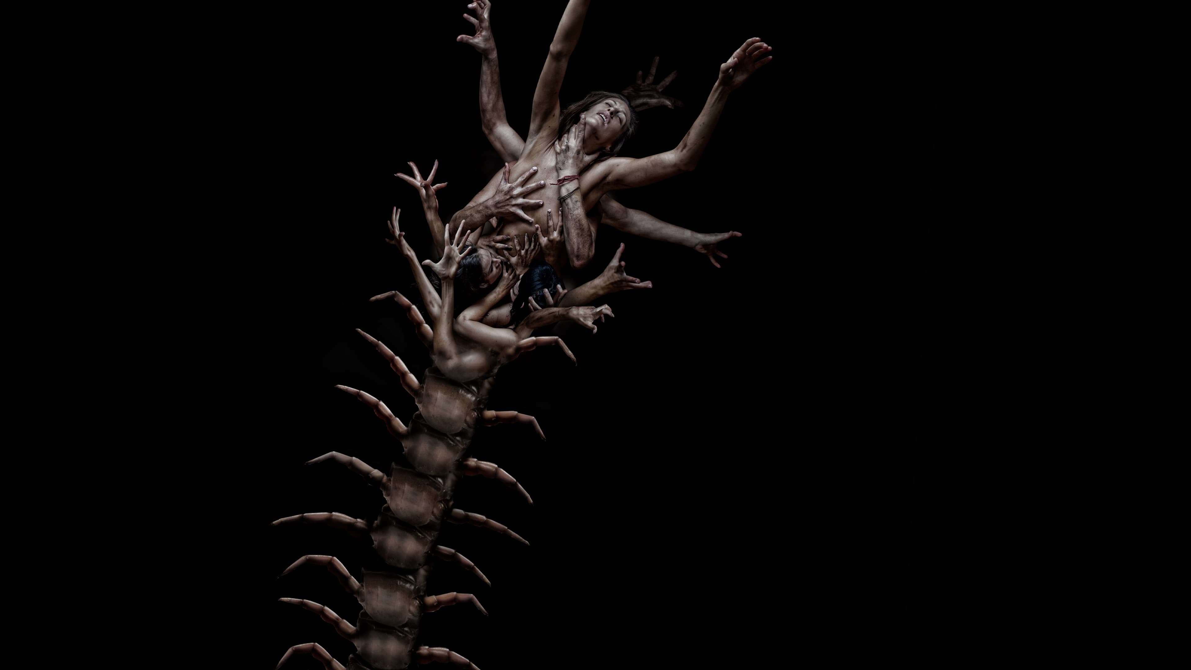دانلود فیلم The Human Centipede 2 (Full Sequence) 2011