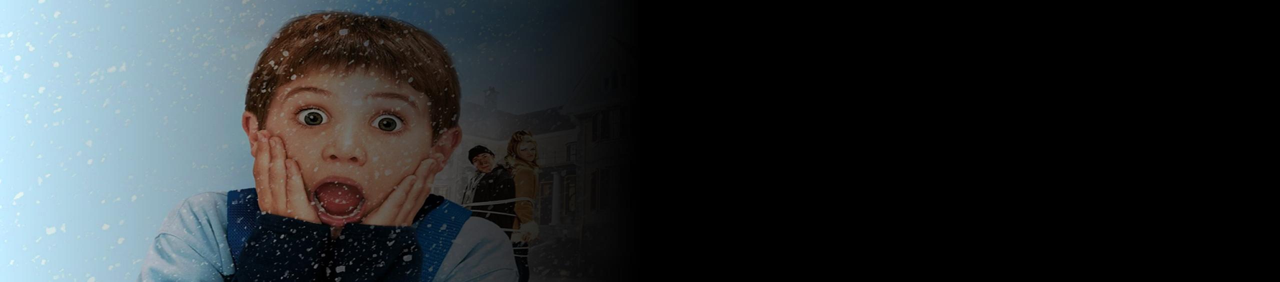 دانلود فیلم تنها در خانه ۴: پس گرفتن خانه Home Alone 4: Taking Back the House 2002
