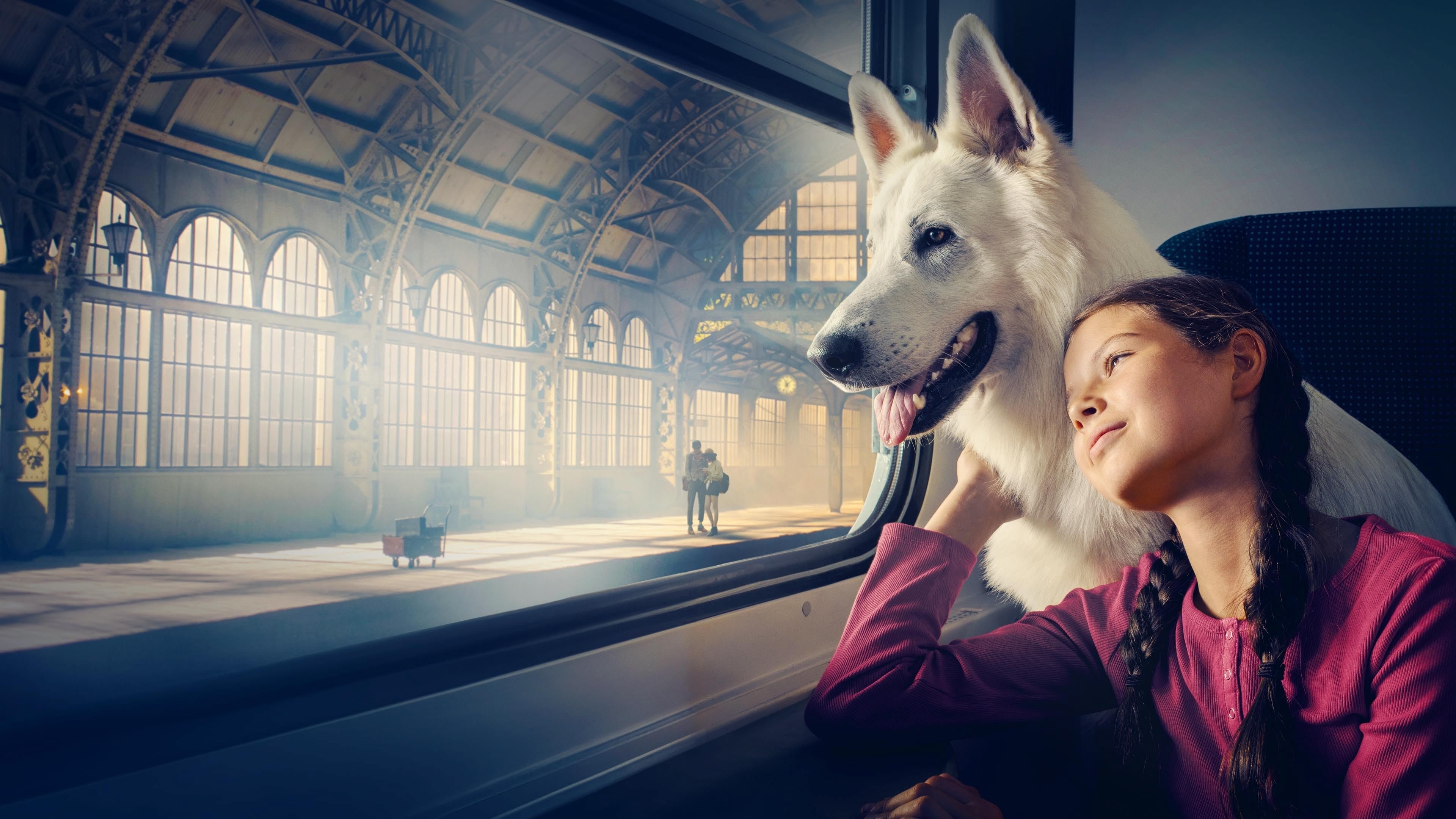 دانلود فیلم سگ قطارسوار The Dog Who Travelled by Train 2023